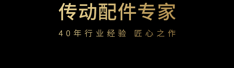 40年導(dǎo)軌齒條傳動配件專家品質(zhì)保障